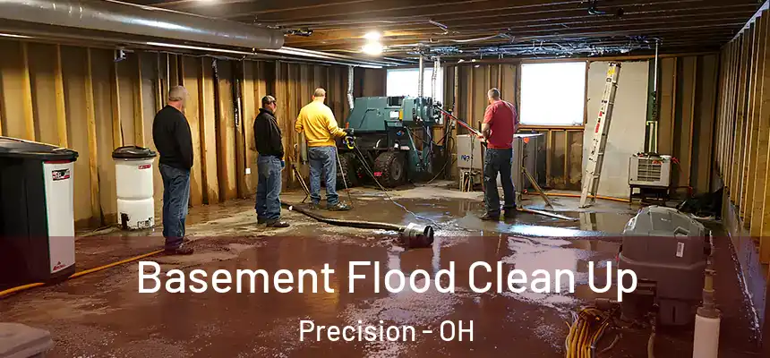 Basement Flood Clean Up Precision - OH