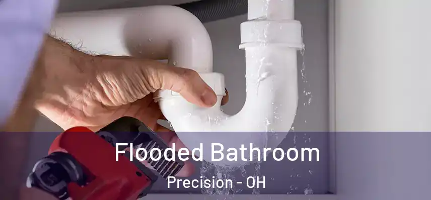  Flooded Bathroom Precision - OH