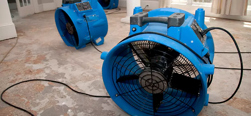 Sewage Removal Services in Precision