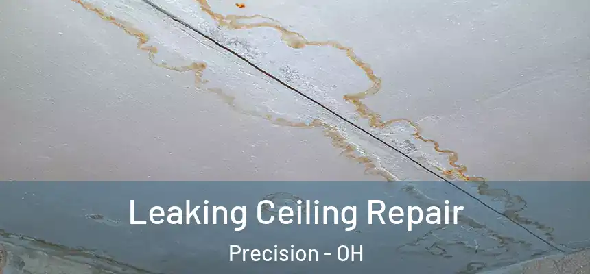  Leaking Ceiling Repair Precision - OH