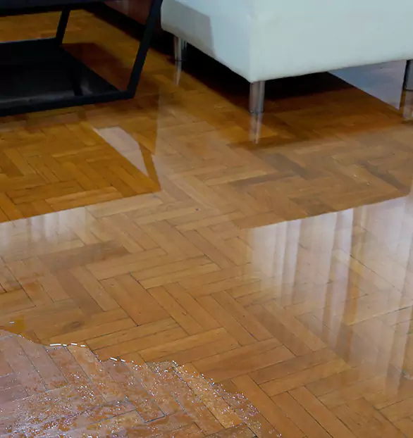 Trusted Emergency Water Restoration Company in Precision, OH