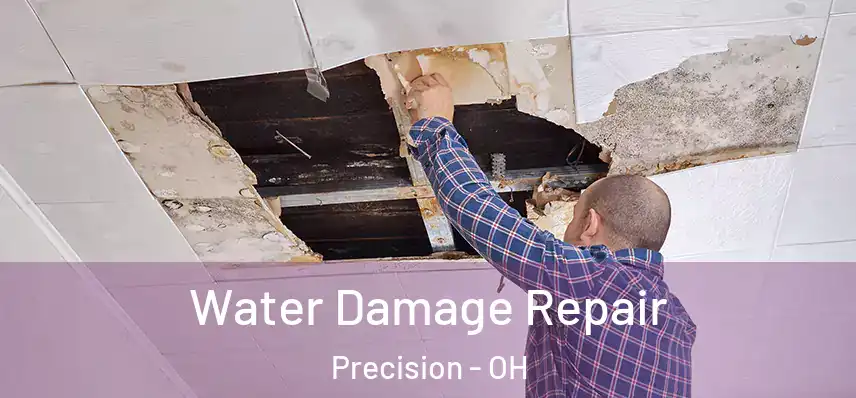 Water Damage Repair Precision - OH