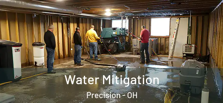  Water Mitigation Precision - OH