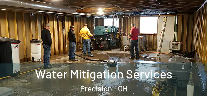  Water Mitigation Services Precision - OH