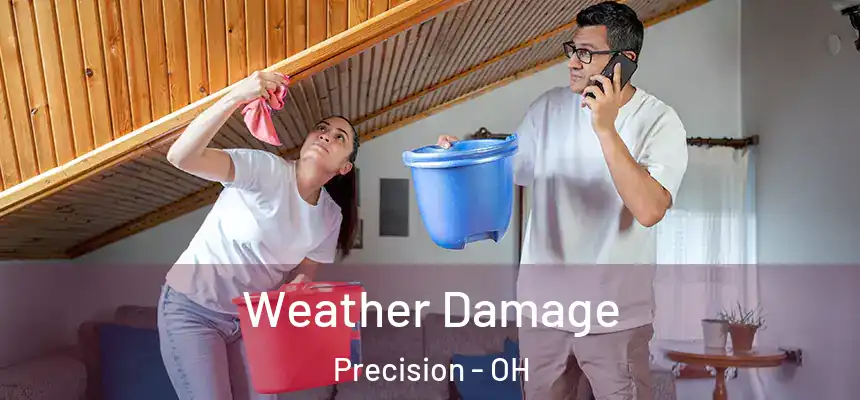  Weather Damage Precision - OH